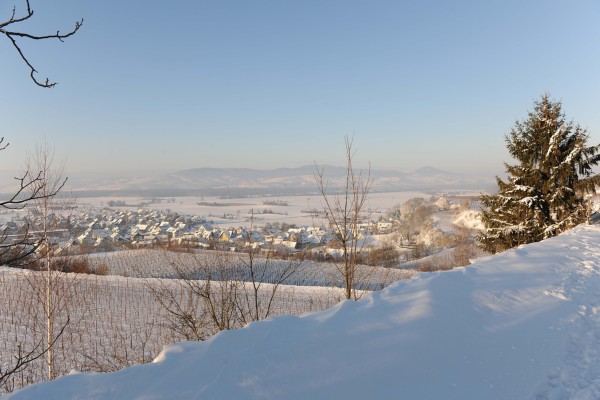Merdingen_Tuniberg_26.12.2010_9.JPG