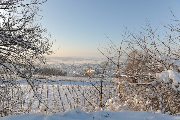 Merdingen_Tuniberg_26.12.2010_10.JPG