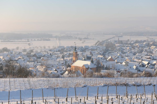 Merdingen_Tuniberg_26.12.2010_11.JPG