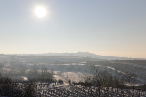 Merdingen_Tuniberg_26.12.2010_13.JPG