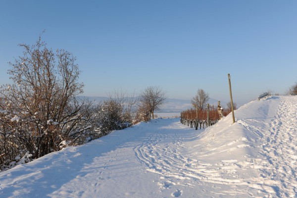 Merdingen_Tuniberg_26.12.2010_16.JPG