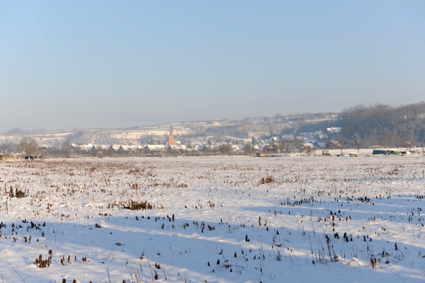 Merdingen_Tuniberg_26.12.2010_1.JPG
