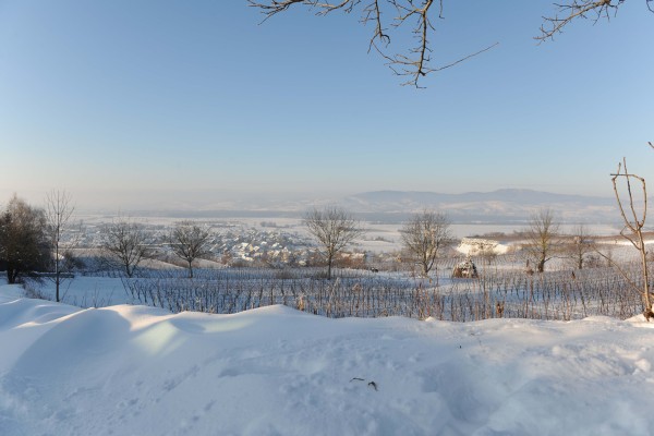 Merdingen_Tuniberg_26.12.2010_2.JPG