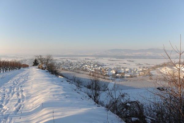Merdingen_Tuniberg_26.12.2010_5.JPG
