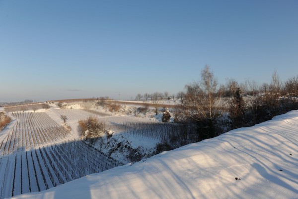Merdingen_Tuniberg_26.12.2010_6.JPG