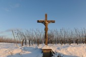 Merdingen_Tuniberg_26.12.2010_39.JPG