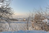Merdingen_Tuniberg_26.12.2010_10.JPG