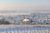 Merdingen_Tuniberg_26.12.2010_11.JPG