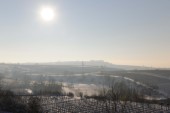 Merdingen_Tuniberg_26.12.2010_13.JPG