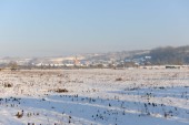 Merdingen_Tuniberg_26.12.2010_1.JPG