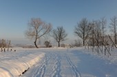 Merdingen_Tuniberg_26.12.2010_23.JPG