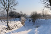 Merdingen_Tuniberg_26.12.2010_28.JPG