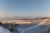 Merdingen_Tuniberg_26.12.2010_34.JPG