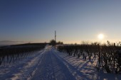 Merdingen_Tuniberg_26.12.2010_37.JPG