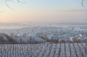 Merdingen_Tuniberg_26.12.2010_38.JPG