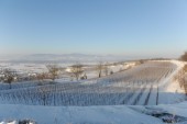 Merdingen_Tuniberg_26.12.2010_3.JPG