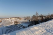Merdingen_Tuniberg_26.12.2010_6.JPG