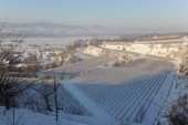Merdingen_Tuniberg_26.12.2010_7.JPG