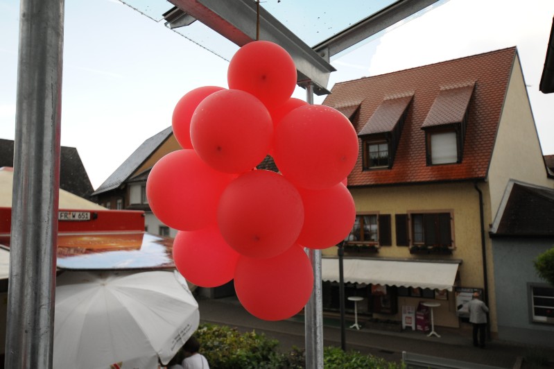 rote Traube.JPG