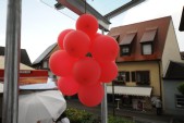rote Traube.JPG